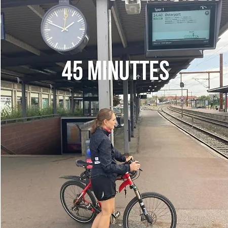 ベッド・アンド・ブレックファスト Wiegand - A With A View 3*