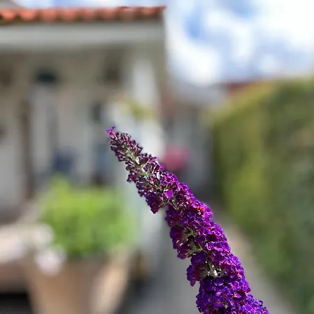 Bed & Breakfast Wiegand - A With A View