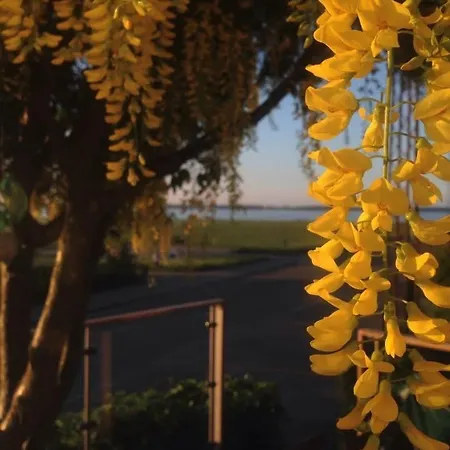 Wiegand - A With A View Bed & Breakfast Holbæk