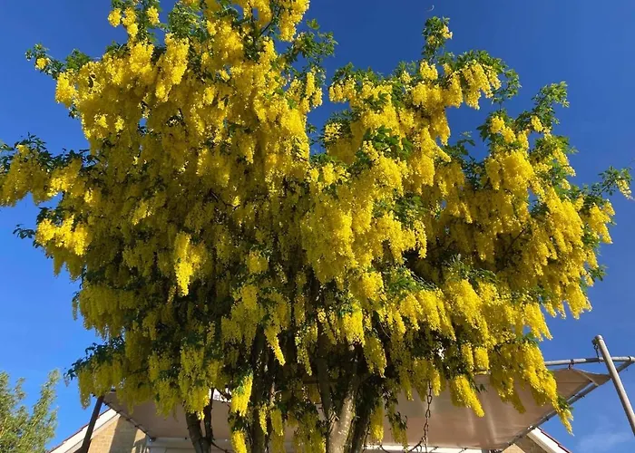 Wiegand - A With A View Holbæk