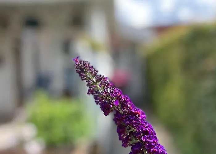 Bed & Breakfast Wiegand - A With A View