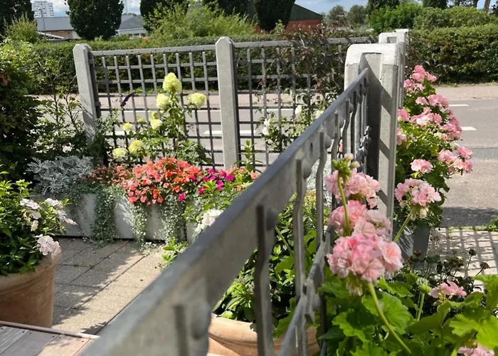 Wiegand - A With A View Holbæk