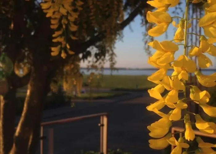 Wiegand - A With A View Bed & Breakfast Holbæk