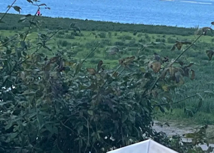 Wiegand - A With A View Bed & Breakfast